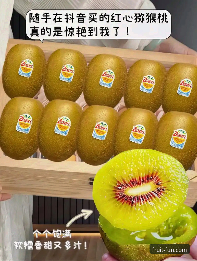 奇异果娱乐安全吗下载不了怎么办？完整故障排查与安全使用指南